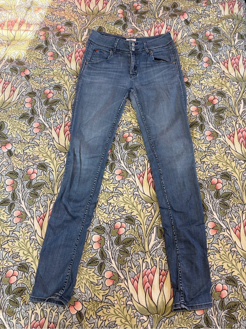 Hudson Jeans Women's Skinny in Faded Blue Wash